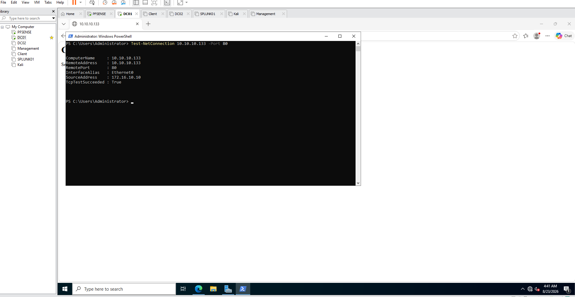 PowerShell Test-NetConnection successfully reaching private AWS web server