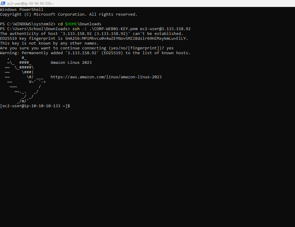 SSH connection from Windows PowerShell to Amazon Linux EC2
